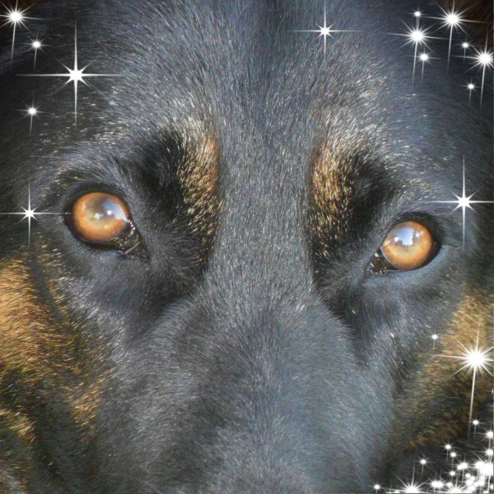 Meet your Posher, Mitzi